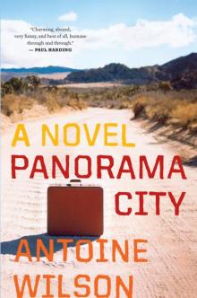 Panorama City Read online