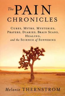 The Pain Chronicles Read online