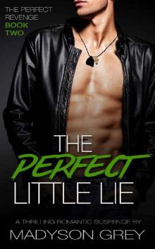 The Perfect Little Lie: A Thrilling Romantic Suspense (The Perfect Revenge Book 2) Read online