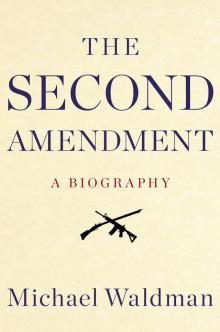 The Second Amendment Read online