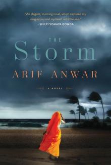The Storm Read online