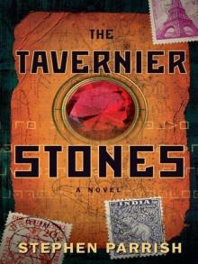 The Tavernier Stones: A Novel Read online