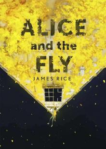 Alice and the Fly Read online