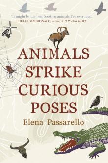 Animals Strike Curious Poses Read online