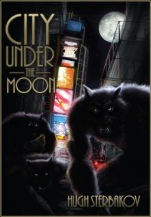 City Under the Moon Read online