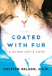 Coated With Fur: A Blind Cat's Love Read online