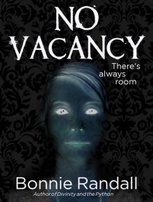 No Vacancy Read online