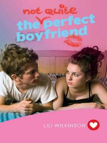 Not Quite Perfect Boyfriend Read online