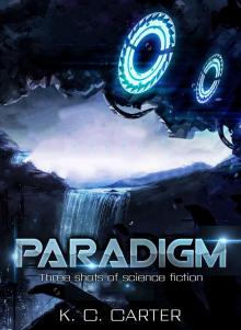 Paradigm Read online