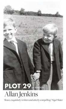 Plot 29 Read online