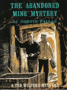 The Abandoned Mine Mystery Read online