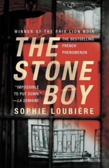 The Stone Boy Read online