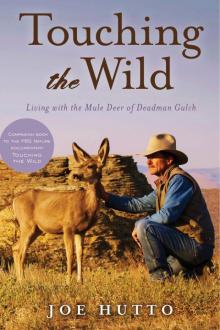 Touching the Wild Read online