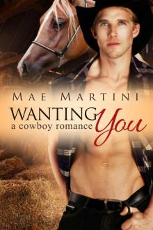 Wanting You: A Cowboy Romance (Texas Hill Country Romance Book 2) Read online
