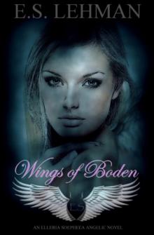 Wings of Boden Read online