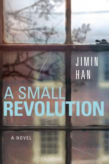 A Small Revolution Read online