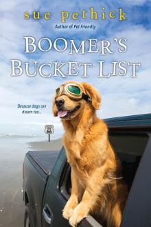 Boomer's Bucket List Read online