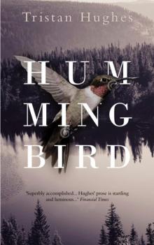 Hummingbird Read online