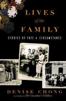 Lives of the Family Read online