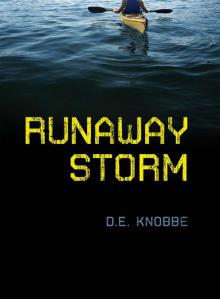 Runaway Storm Read online