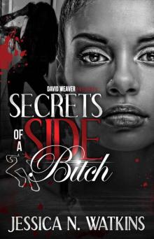 Secrets of a Side Bitch Read online