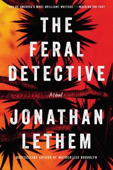 Read Jonathan Lethem Books, Reading Order | Free Online Novels