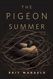 The Pigeon Summer Read online