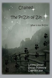 The PriZin of Zin Read online