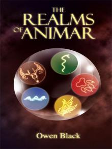 The Realms of Animar Read online