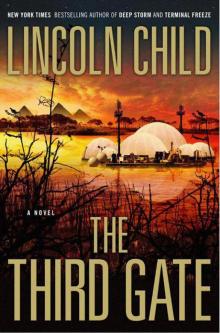 The Third Gate: A Novel Read online