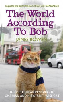 The World According to Bob: The further adventures of one man and his street-wise cat Read online