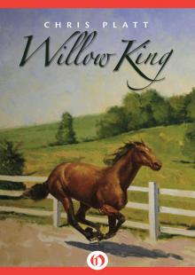 Willow King Read online