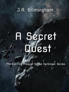 A Secret Quest Read online