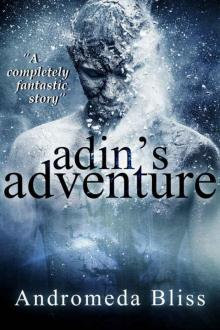 Adin's Adventure: How to Ruin a Rescue Read online