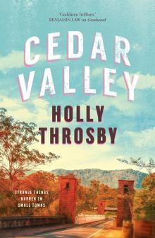 Cedar Valley Read online