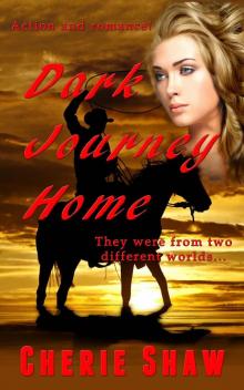 Dark Journey Home Read online