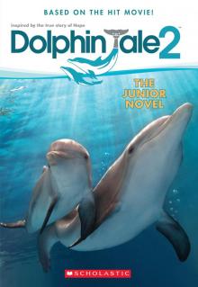 Dolphin Tale 2 Read online