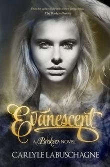 Evanescent Read online