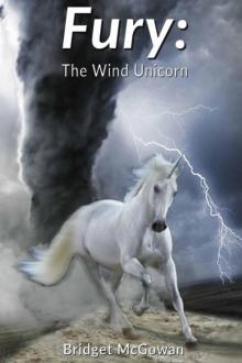 Fury: The Wind Unicorn (The Unicorn Tales Book 2) Read online