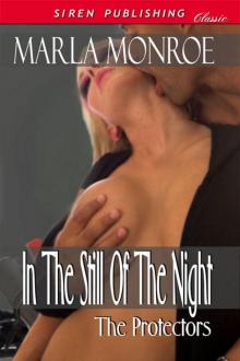 In The Still of the Night [The Protectors 2] (Siren Publishing Classic) Read online