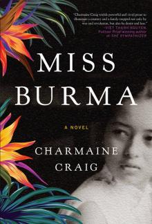 Miss Burma Read online