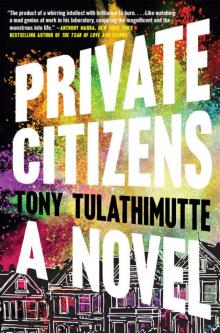 Private Citizens: A Novel Read online