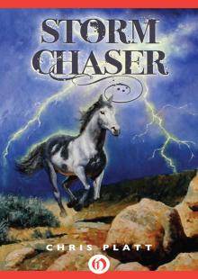 Storm Chaser Read online