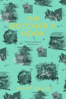 The Butcher's Hook Read online