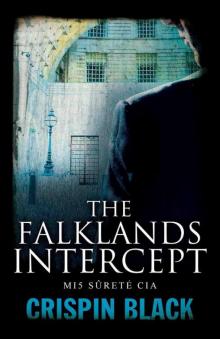 The Falklands Intercept Read online