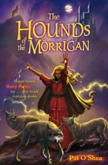 The Hounds of the Morrigan Read online