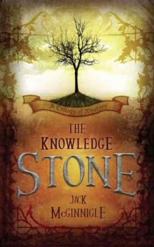 The Knowledge Stone Read online