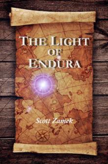The Light of Endura Read online