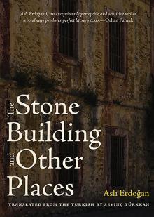 The Stone Building and Other Places Read online