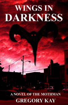 Wings In Darkness Read online
